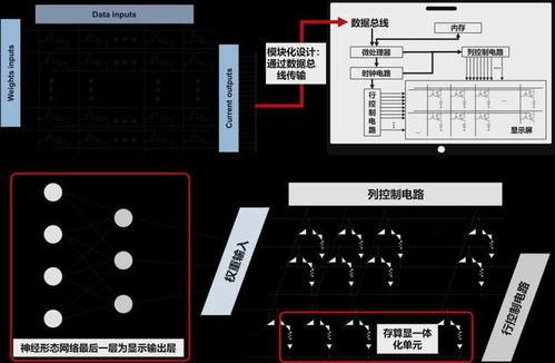 有機(jī)智能材料與器件專(zhuān)刊 光電器件的前沿與展望